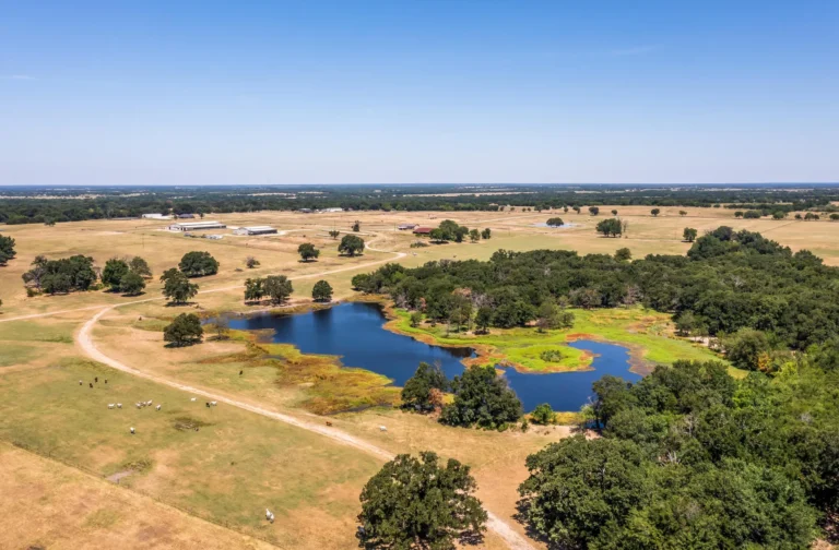 Rural Texas land with a pond, mature trees, and grazing cattle, ideal for ranching, farming, or recreational use. This scenic property highlights Texas’ diverse landscape, offering development potential and abundant natural resources.