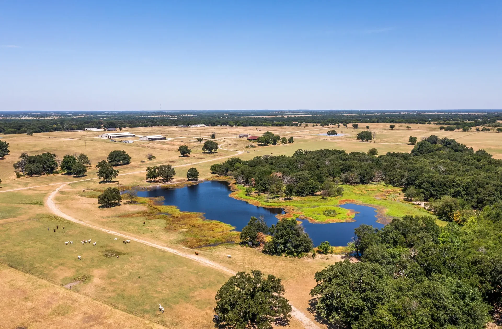 Rural Texas land with a pond, mature trees, and grazing cattle, ideal for ranching, farming, or recreational use. This scenic property highlights Texas’ diverse landscape, offering development potential and abundant natural resources.