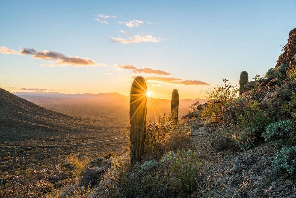 Tucson desert sunset with saguaro cacti, illustrating Arizona’s landscape for land buyers.