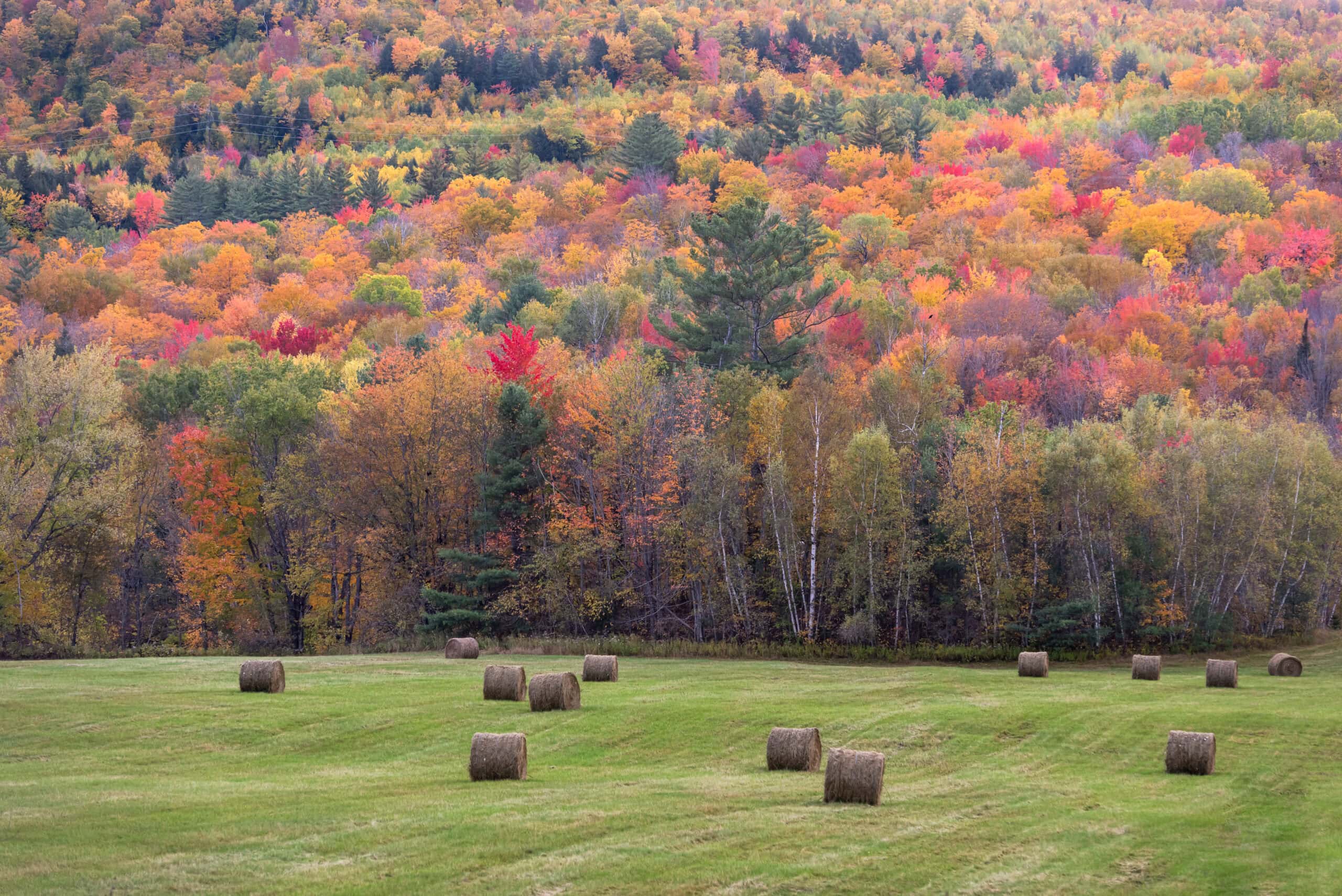 Mixed-use Maine property showing forestland and open fields - example of buying land in Maine