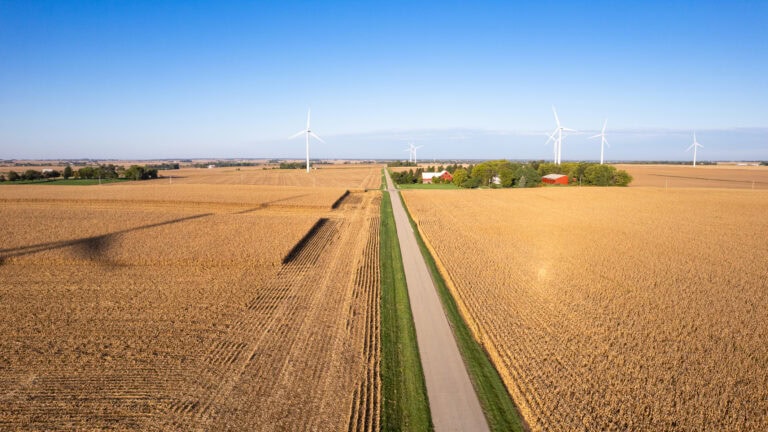 Illinois farmland for sale showing productive crop fields, rural road access, and renewable energy wind turbines