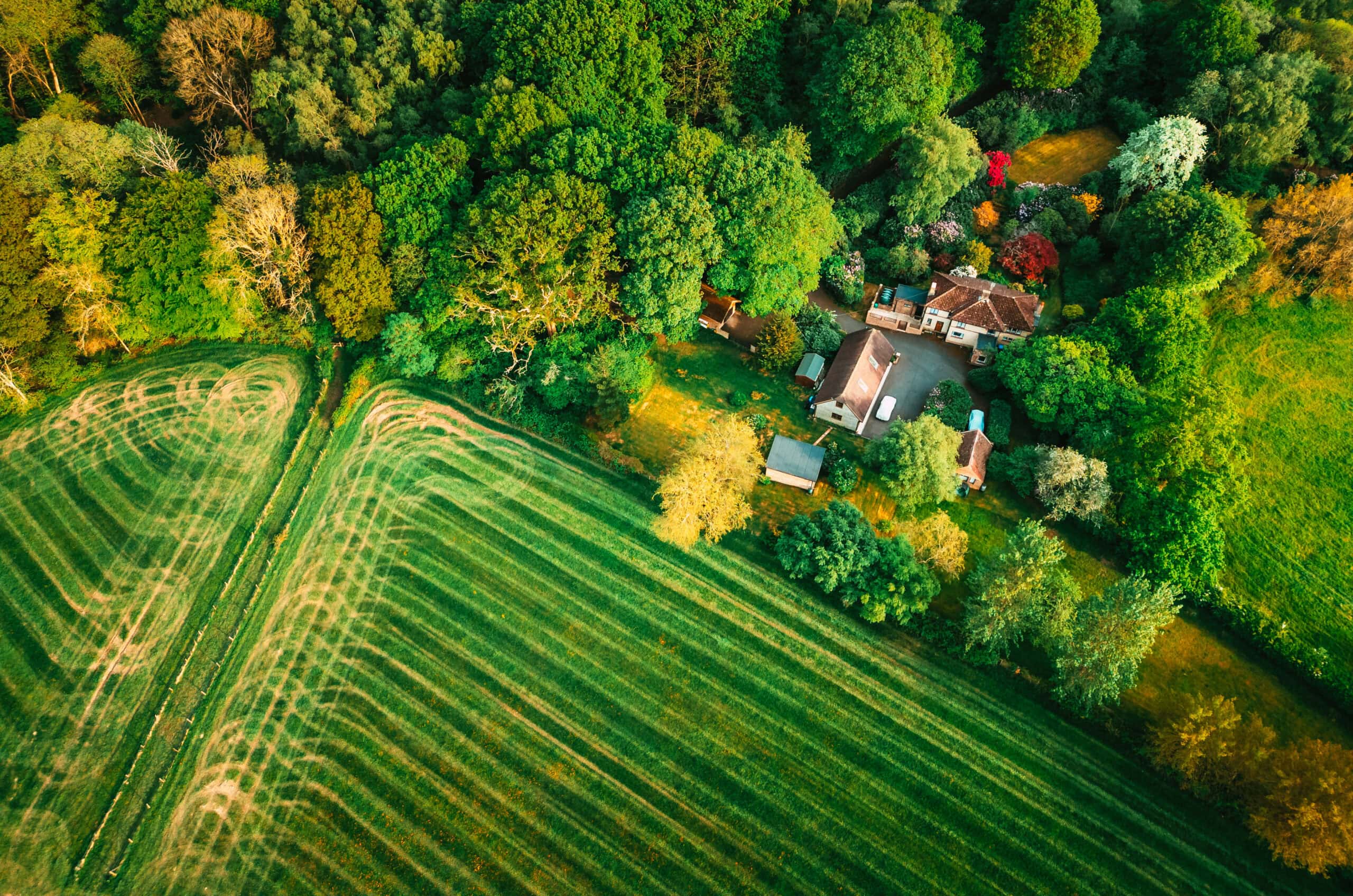 Aerial view of a rural home surrounded by wooded acreage and backing up to open farm fields, illustrating the unique characteristics and land-use considerations involved in buying land versus residential property.