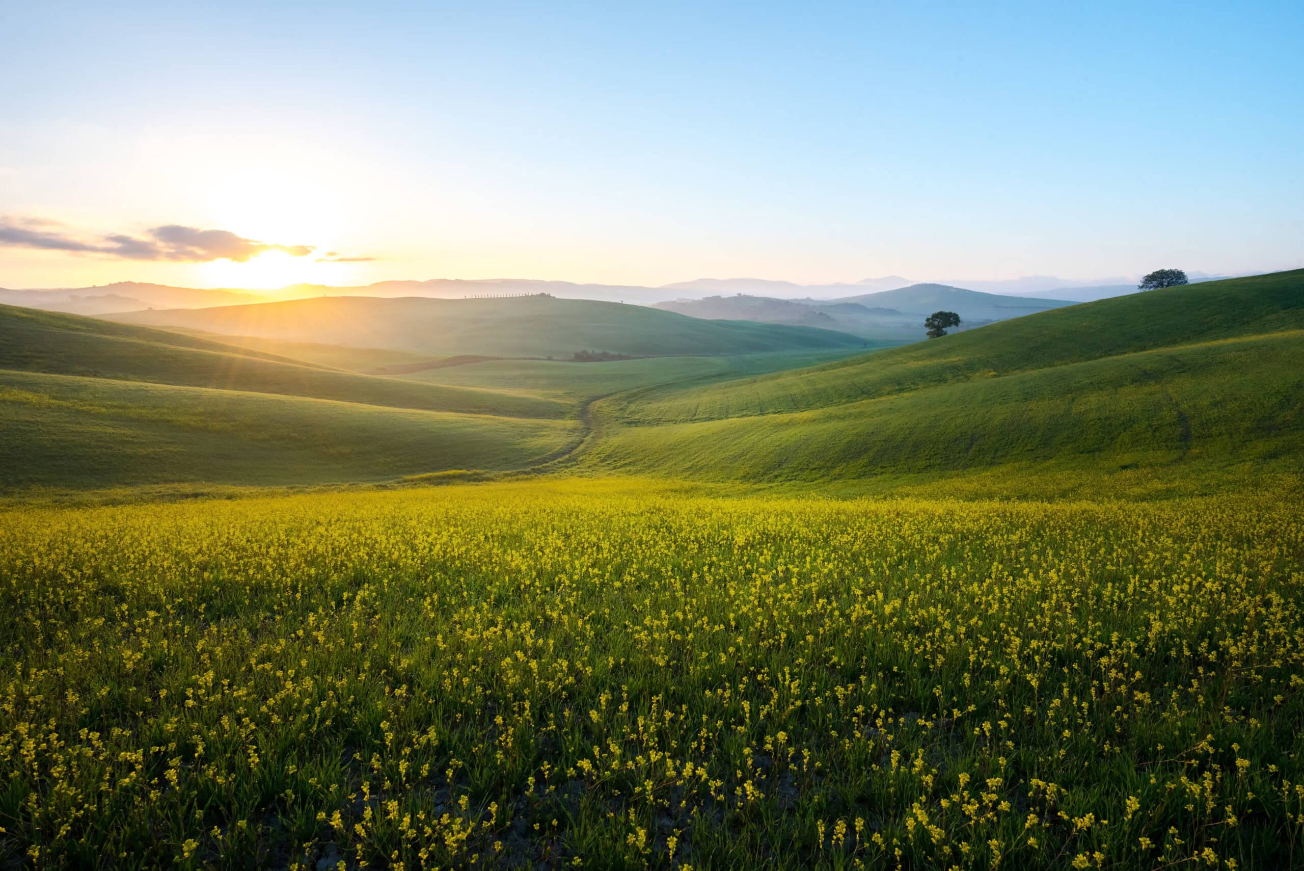 Rolling grassy hills and open acreage showcasing types of land for sale.